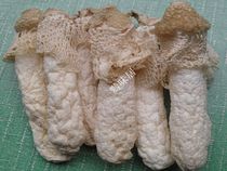 Guizhou specialty woven gold bamboo sun dry goods meat thick this year buy 2 new goods