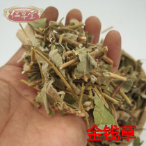 Chaoshan Wild Dry Pint Gold Money Grass Wide Gold Money Grass Large Leaf Gold Money Grass 500g