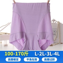 Original Single Inner Pants Woman High Waist Comfort Pure Cotton No Mark Flat Angle Increase Code Foreign Trade Casserole Hip Modale