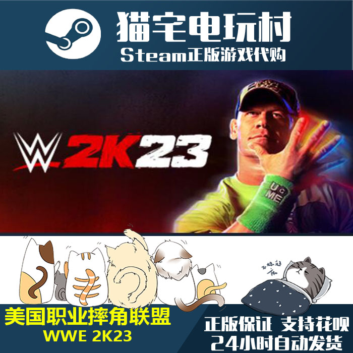 Steam American Professional Wrestling Alliance/WWE 2K23 正規 PC アクティベーション コード cdKey