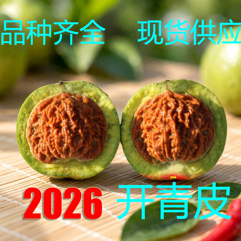 满天星文玩核桃-满天星文玩核桃促销价格、满天星文玩核桃品牌- 淘宝