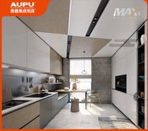 Opal integrated ceiling board MAX (2 88 square meters)