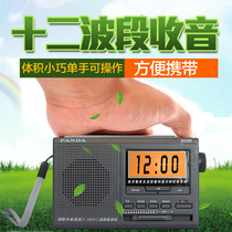 PANDA Panda 6128 Radio for the elderly Full band radio for the elderly Semiconductor Portable FM