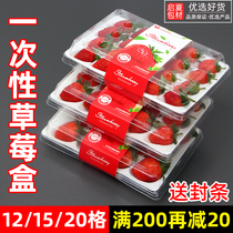 Disposable strawberry cassette holder transparent strawberry box plastic high-grade fruit boxed strawberry box box subnet Red
