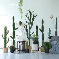 Nordic ins wind simulation cactus plant potted indoor bonsai decoration large fake green plant Office ornaments
