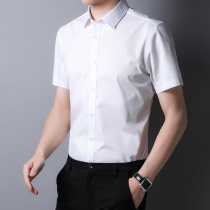 Mens shirt short-sleeved summer thin business dress solid color work ice silk free ironing large size youth half-sleeve shirt