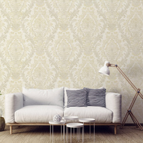 ROEN ruran wallpaper frenciya FO21403 bedroom living room background wall American imported pure paper wallpaper