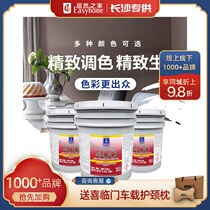 Xuanwei imported art paint wall paint zero formaldehyde childrens room living room TV background wall instead of latex paint