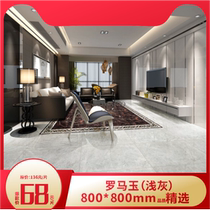 Roman Leo Roman jade(light gray)modern minimalist style anti-fouling wear-resistant high hardness