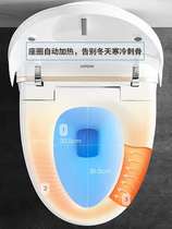 Wrigley AKB1305 Smart Toilet Automatic Integrated Electric Toilet Flush and Drying