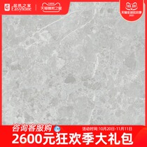 Marco Polo Modern Simple Light Luxury Living Room Marble Textured Tile Iceland Grey CH8080AS