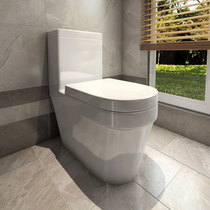 Huida HDC6198 one-piece toilet for the water in the water