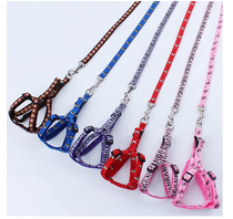 Dogs traction rope Pet Kitty Rabbit Traction with teddy Bears Chest Harness Puppies Chains Son Walk Dog Rope Cat Rope