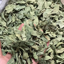 Apocynum leaf 3 pieces of apocynum tea apocynum tea tea 500g Chinese herbal medicine