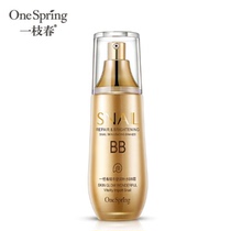 A Spring Snail Shurun Hydrating BB cream concealer isolation oil control moisturizing cream brightens skin color invisible pores