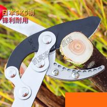 Thick branch cut with powerful extension vigorously cut gardening forest Labor-saving High Branches Empty Cut Japan Imported Fruit Trees Prunedi Pruni