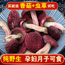 Red mushrooms Fujian Zhengzong wild 500g Special Class Mushroom Soup Stock Bag Dried Cargo Mushrooms Red Vertebral mushroom Mushrooms Lunar-based Foods Ingredients