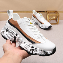 Mens shoes 2021 new trend high-top sneakers mens Korean version of Joker casual board shoes dad shoes ins tide