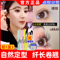  Flamingo mascara Li Jia recommends female waterproof long curly net red explosion style non-smudging flagship store Qi