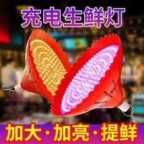 Charging fruit Light led fresh pork lamp seafood cooked food stewed vegetable lamp power outage emergency outdoor night market stall light