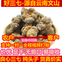 Yunnan Wenshan Chunpanax nosanqi 20 head 30 head 40 head field seven powder three seven head 500g generation grinding powder
