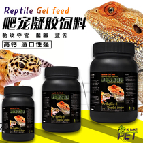 cookie crawling pet BAO WEN gall lizard feed gel insect reptile mane lion meat food ciliary horn puree
