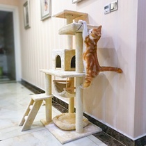 Cat climbing frame cat nest cat tree one sisal shelf platform cat tower large climbing column does not occupy the floor cat rack cat supplies
