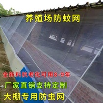 Insect-Proof net farm mosquito net greenhouse Orchard drying pigsty screen window strong thickening anti-aging