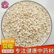 Small sharp shell 500g ~ 5kg Sichuan Fritillaria pine Fritillaria pine Fritillaria
