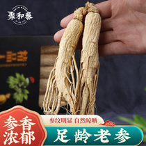 Ginseng Wild mountain ginseng Changbai Mountain Northeast specialty Ren San Sheng sun forest white ginseng Fresh dry goods Soaked wine dried ginseng