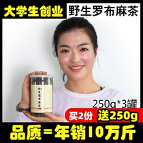 Buy two to send 250g Xinjiang apocynum tea Lop Nur wild sprouts new tea picking Western region specialty producing area straight hair