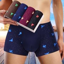 Mens youth milk silk underwear cotton breathable mid-waist breathable comfortable boxed shorts head size 4 boxed
