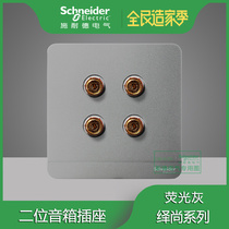 Schneider switch socket Yishang fluorescent gray four audio dual two-position speaker socket 86 type