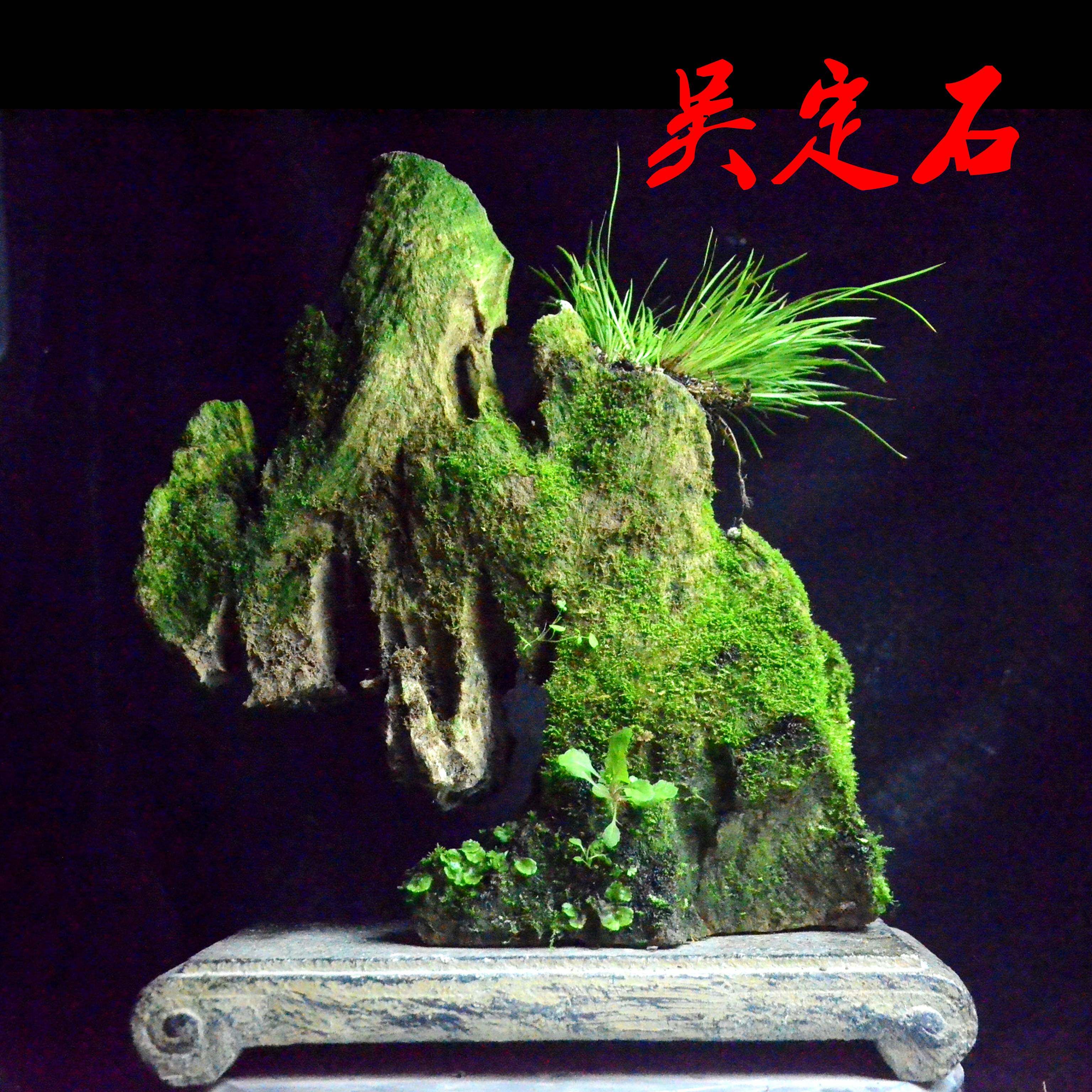 太湖石　盆石　水石　中国　盆景 青黑太湖石造景-青黑太湖石造景促销价格、青黑太湖石造景品牌- 淘宝