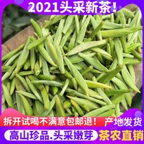 Bird tongue tea 2021 spring tea new tea Mingqen special bamboo leaves fried green Emei snow Bud Green Tea bulk 250g