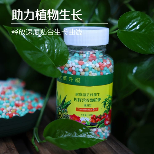 Cong Hui Зеленый растение Цветок Общий контроль жирового удобрения Длинный эффект и гранул удобрения плоды