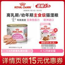 New official Royal imported cat wet food staple food cans Kitten mousse milk cake canned non-zero nutrition full price food