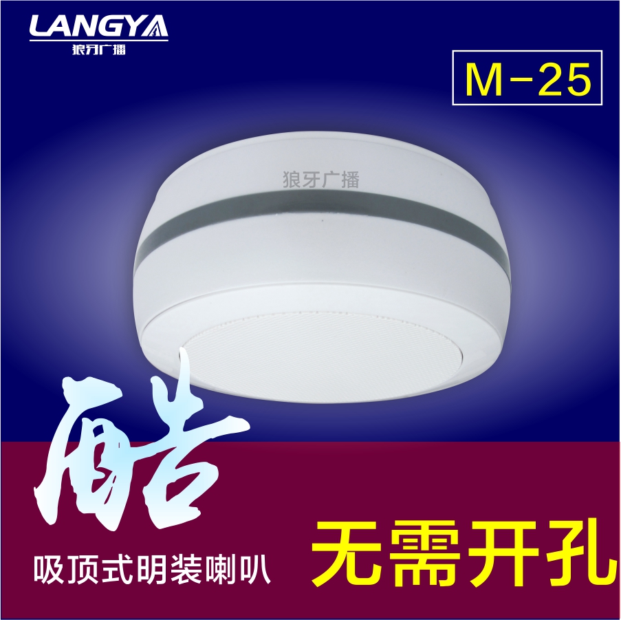 Broadcasting Background Music 10W Open Top Soundbox 6 inch 110V Shop Ceiling Open Horn