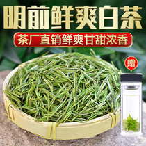 Tea Anji white tea premium 2021 new tea Authentic Ming Qian rare alpine green tea spring tea leaves bulk 500g
