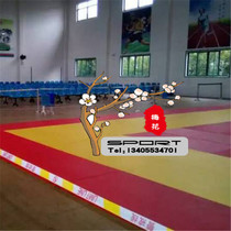 Professional competition training judo Mat Sling mat gymnastics mat dance mat