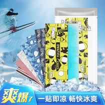 Hemerocallis ice cool paste cooling artifact ice paste summer student heat dissipation sticker adult mobile phone fever military training refreshing