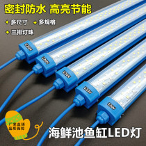 220v-seafood pond fish tank LED lighting energy-saving waterproof square tube blue shell PVC pipe fittings lighting