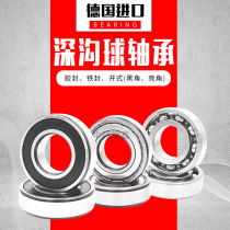 Import FAG Bearings 6200 6201 6202 6203 6204 6205 6206 6207 2ZR 2RSR