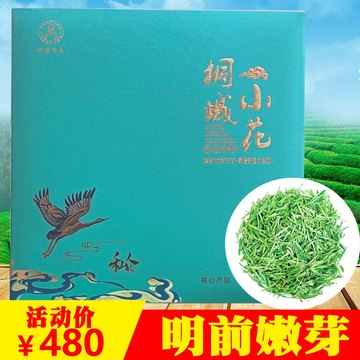 桐城小花2024新春绿茶茶叶龙眠明前嫩芽特级送礼佳品500g