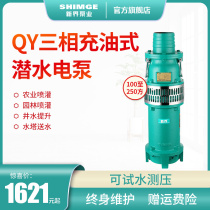 New Territories water pump QY oil-filled 100-250mm farmland irrigation fountain 380V agricultural household industrial submersible pump