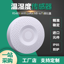 Ceiling air temperature and humidity intelligent RS485 transmitter LoRa wireless detector 4-20mA sensor meter