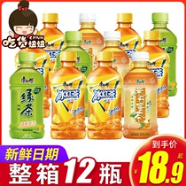 Master Kang ice black tea 330ml*12 bottles Jasmine tea Green tea drink summer drink whole box water drink wholesale