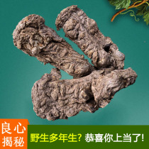 Edible agricultural products 500g straight hair promotion new products Self-produced sulfur-free herbs Non-wild small angelica head whole