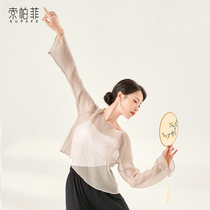  Chinese classical dance Dance gauze clothes Female adult elegant practice clothes body rhyme body summer clothing dance clothes Summer