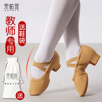 Female dance shoes female teacher special indoor soft bottom training camel Latin practice dancing shoelaces and adult body shape classical